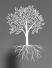 Omnia-Economic-Solutions